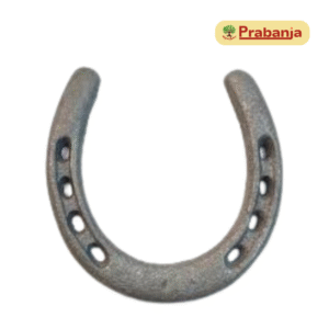 Horseshoe