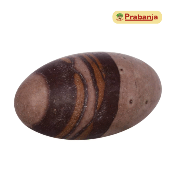 Original Narmadeshwar Shivling