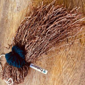 Organic Vetiver Root