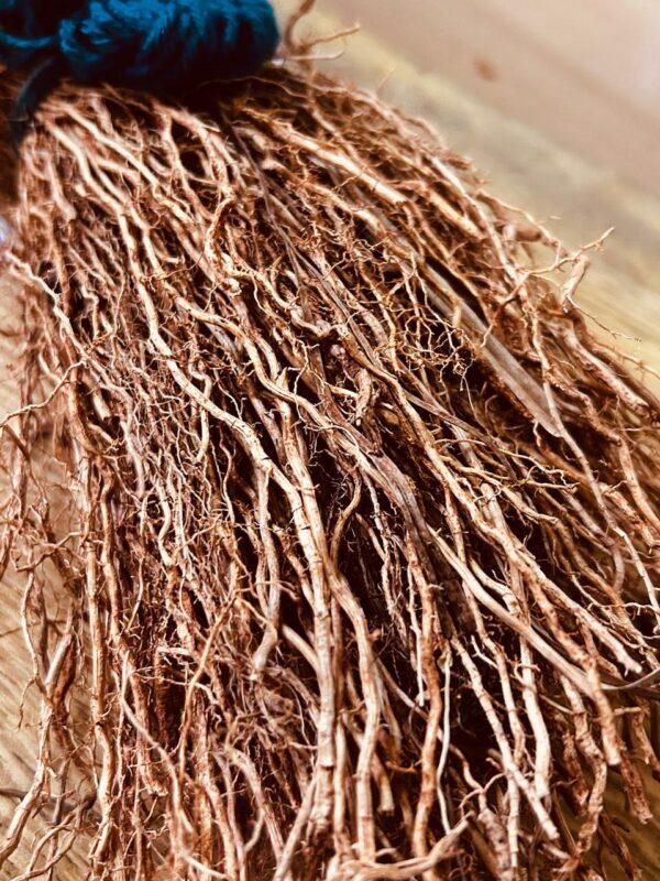 Organic Vetiver Root - Image 2
