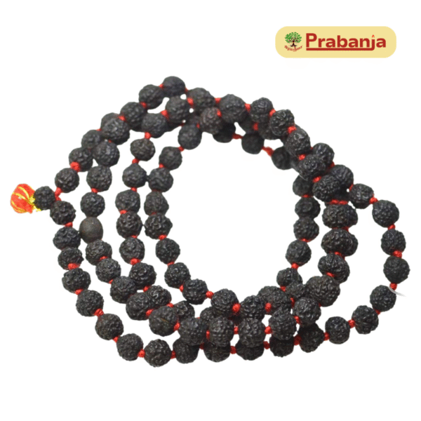 Natural 5 mukhi Black rudraksha mala
