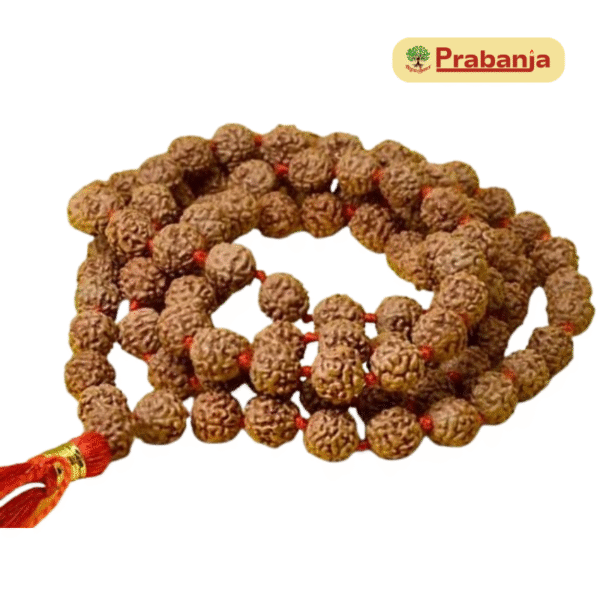 5 Face Rudraksha Mala 108 Beads
