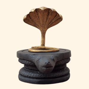 Thavathiru Arammigu Adigalar Worshipped Anathi Nathar Siddhar Vazhipattu Vilakku | வேண்டிய வரங்களை பெற அனாதி நாதர் சித்தர் வழிபாடு